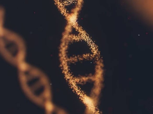 Ilustrasi model molekul DNA menurut Watson dan Crick. Sumber: unsplash.com/ ANIRUDH