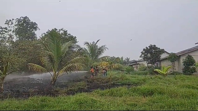 Petugas damkar memadamkan api kebakaran lahan di Desa Pasir Mempawah. Foto: Dok. Istimewa