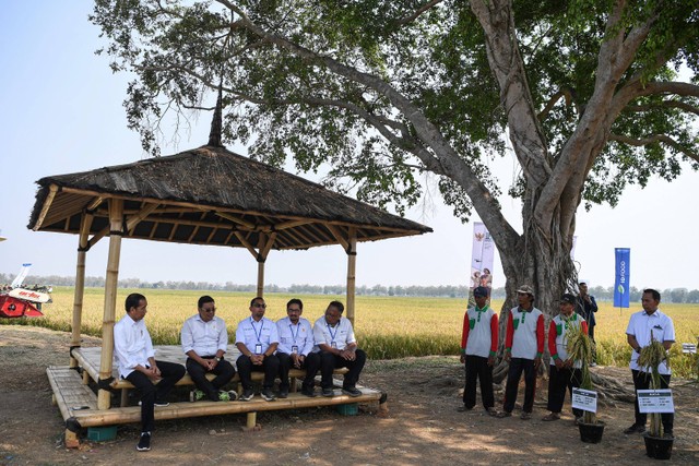 Presiden Joko Widodo (kiri) berdialog dengan seusai meninjau panen padi di Ciase Girang, Ciasem, Subang, Jawa Barat, Minggu (8/10/2023). Foto: Sigid Kurniawan/ANTARA FOTO