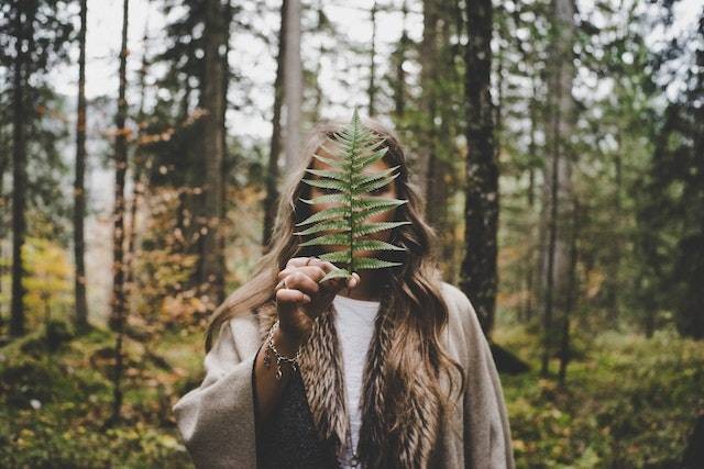 Peran manusia dalam menjaga keseimbangan ekosistem, Foto hanya ilustrasi. Sumber: pexels/Lucas Allmann