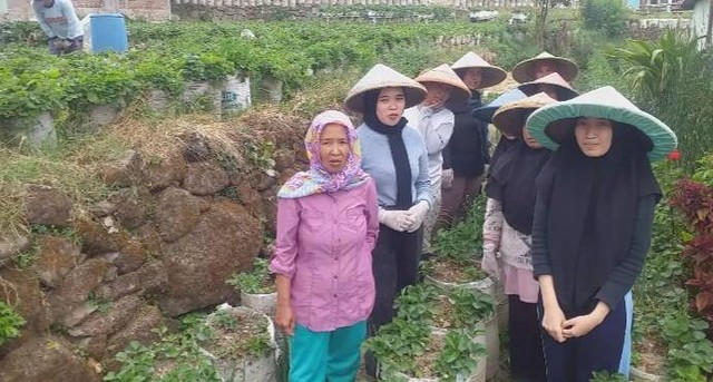 Komunitas emak-emak petani strawberry di Kabupaten Bandung menyatakan dukungannya kepada Gibran untuk maju sebagai Cawapres. Foto: Istimewa