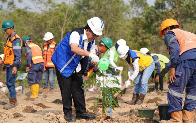 PT Bukit Asam Tbk (PTBA) melakukan budidaya kaliandra merah untuk dikembangkan sebagai biomassa. Foto: PTBA