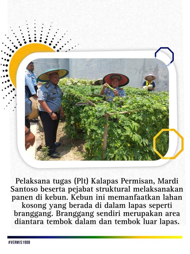 Panen Semangka dan Melon Hasil Pembinaan Kemandirian oleh Plt Kalapas Permisan