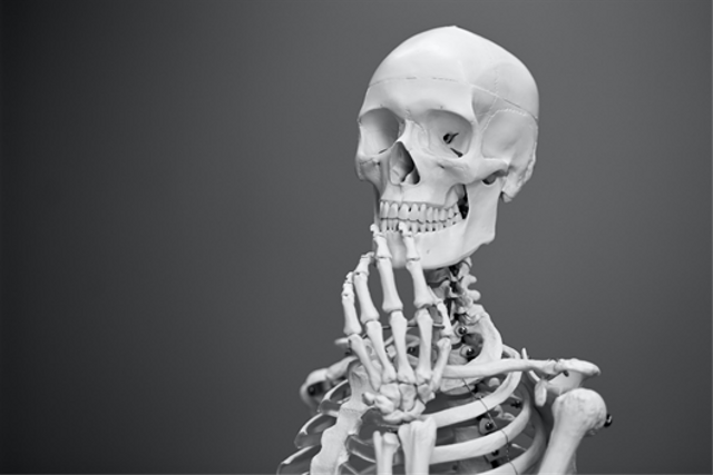 Jenis tulang pendek. Foto Hanya Ilustrasi. Sumber foto: Unsplash/Mathew Schwartz