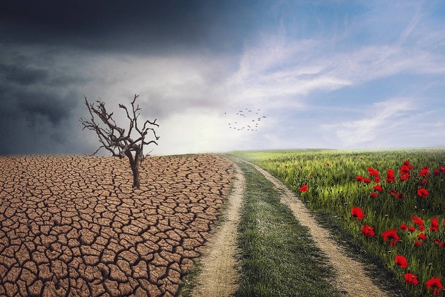 Ilustrasi pengertian perubahan iklim beserta faktor penyebab dan dampaknya. Sumber: Pixabay/ELG21