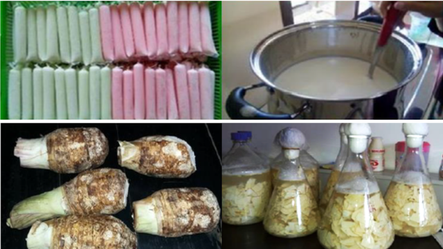 Yogurt talas sinbiotik (Foto: R. Haryo Bimo Setiarto)