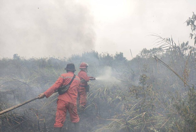 Manggala Agni saat melakukan pemadaman lahan yang terbakar, Foto : Manggala Agni