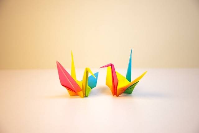 Ilustrasi cara membuat origami burung, sumber foto: unsplash.com/Carolina Garcia Tavizon