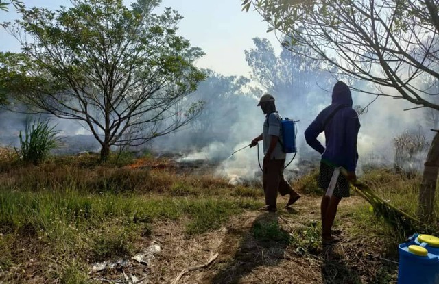 Karhutla di Cilacap hanguskan pabrik gula.  Foto: BNPB