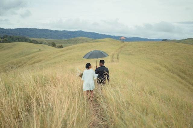 Ilustrasi Bukit Teletubbies Jogja, sumber foto: unsplash.com/Asso Myron