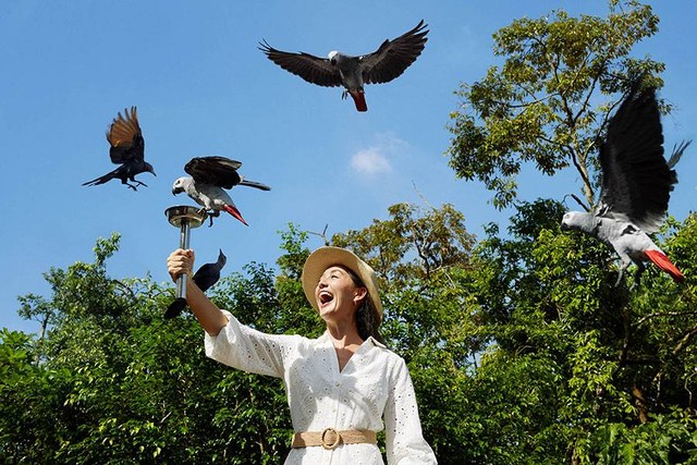 Bird Paradise di kawasan Mandai Wildlife Reserve. Foto: Singapore Tourism Board