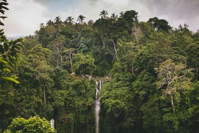 Ilustrasi air terjun di Bali. Sumber: Unsplash/Aleksandra Dementeva