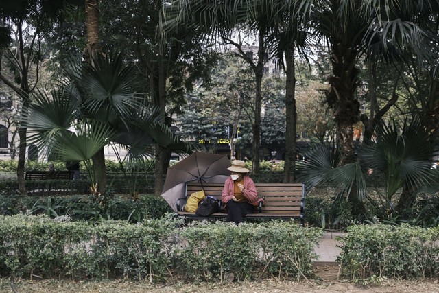 Taman kota di Jakarta, foto hanya ilustrasi: Pexels/Quý Nguyễn
