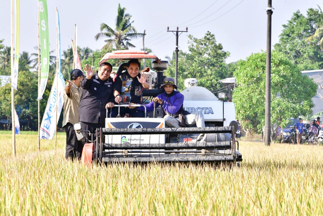 Pj Gubernur Sulsel Bahtiar Baharuddin bersama petani melakukan panen raya padi di Desa Alatengae, Kecamatan Bantimurung, Kabupaten Maros pada Kamis (19/10/2023). Foto: Dok. Istimewa