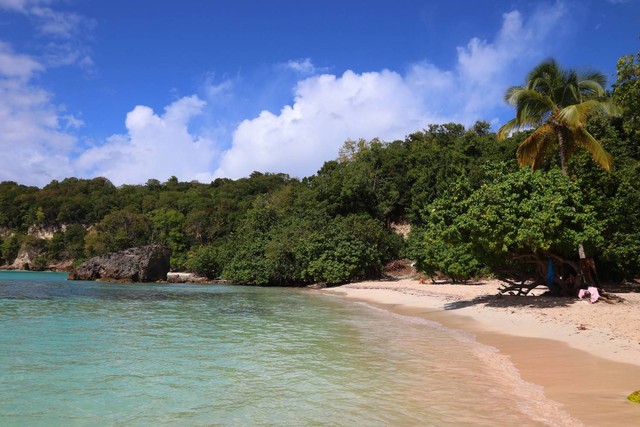 Ilustrasi Pantai Pohon Seribu Sasak. (Foto: Tupungato/shutterstock)