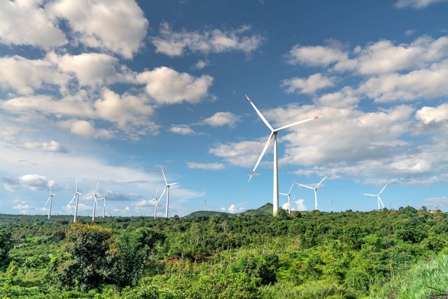 Ilustrasi Energi Terbarukan (Sumber: https://www.pexels.com/photo/clouds-over-a-forest-wind-farm-in-summer-14024425/)