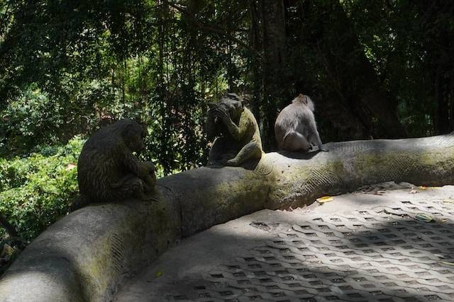 Ilustrasi Ubud Monkey Forest, sumber foto: unsplash.com/Eleonora Digirolamo