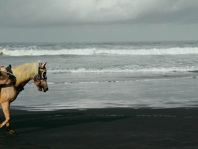 Ilustrasi pantai di Jogja apa saja, sumber foto: unsplash.com/Elang Wardhana