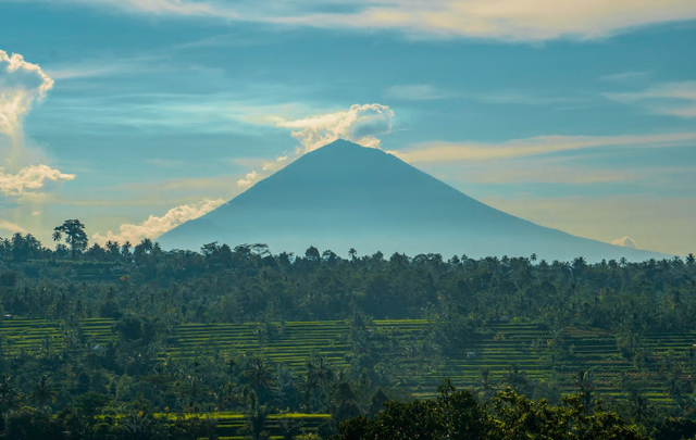 Ilustrasi Dataran Rendah di Pulau Bali. Sumber: Pexels/Olesandr P