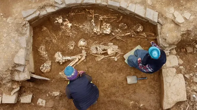 14 kerangka ditemukan di dalam makam era neolitikum di Skotlandia.  Foto: National Museums Scotland