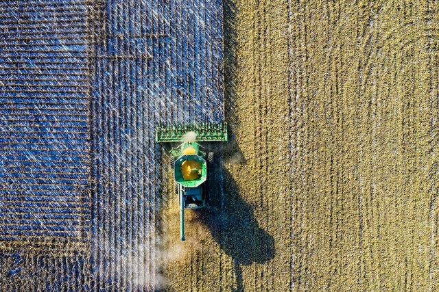 Pengertian Agrikultur. Foto: Pexels