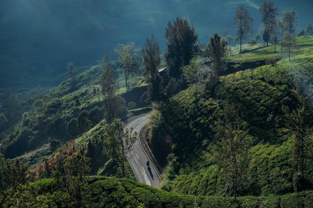 Tempat Wisata di Pangalengan Bandung / Foto hanya ilustrasi bukan tempat sebenarnya. Sumber: https://unsplash.com