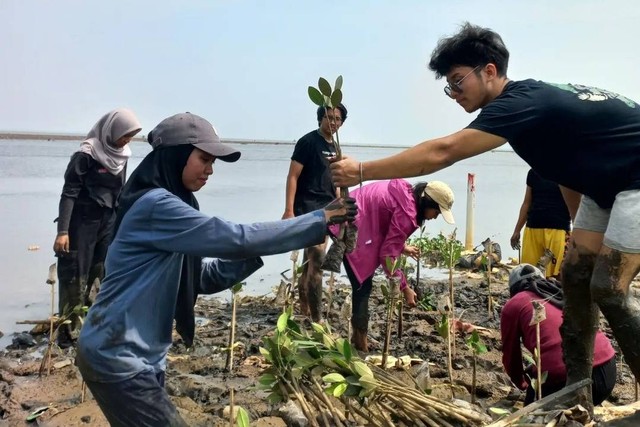 Ilustrasi anak muda peduli lingkungan melalui penanaman mangrove. Foto: Dok. Istimewa