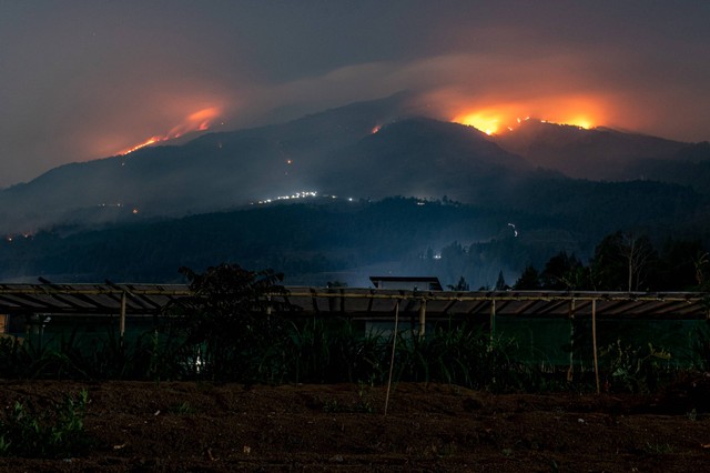 Api membakar lahan Gunung Merbabu terlihat dari Desa Batur, Kecamatan Getasan, Kabupaten Semarang, Jawa Tengah, Sabtu (28/10/2023). Foto: Aji Styawan/ANTARA FOTO
