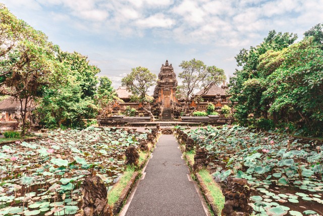 Ilustrasi Tempat Wisata di Ubud. Unsplash/Johnny Africa.