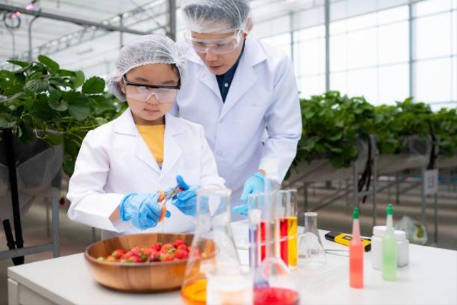 Ilustrasi Macam-Macam Peralatan Laboratorium, Foto: Unsplash/Sunan Wongsa-nga.