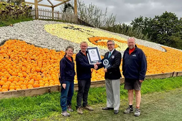 Rekor dunia baru telah diraih oleh para petani di Sunnyfields Farm Inggris, yang berhasil menciptakan mosaik dari susunan 10 ribu labu. Foto: Dok. Guiness World Record