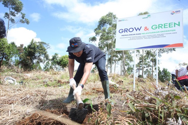 Jaga Kelestarian Danau Toba, BRI Peduli “Grow & Green” Tanam 2.500 ...