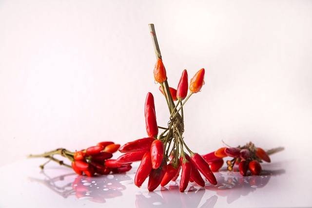 Ilustrasi cara emmbuat garnish dari cabe merah. Sumber foto: Pixabay