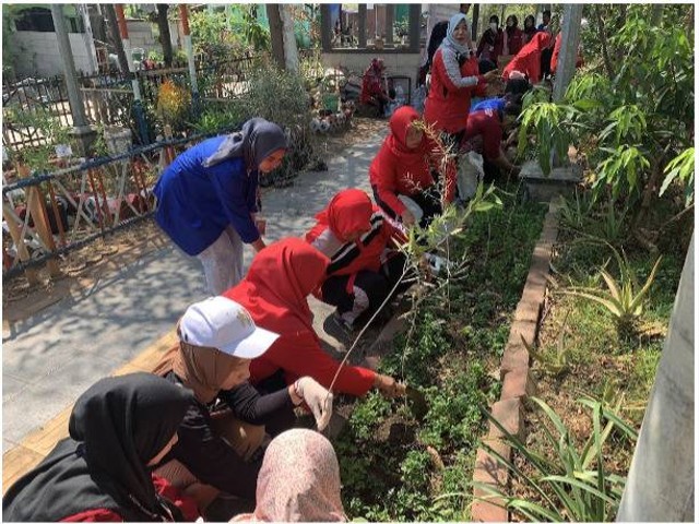 mahasiswi Udinus saat bersama warga menanam tanaman anti nyamuk di Tanjung Mas Kampung Bahari Tambak Lorok