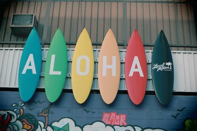 Ilustrasi Cara ke Aloha Pasir Putih. Sumber foto: Unsplash/Little Plant