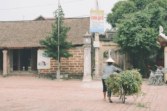 Ilustrasi desa. Sumber foto: Pexels