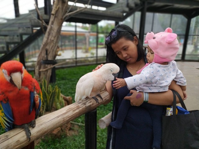 Lembang Park & Zoo, Sumber Unsplash Eki Marhaban