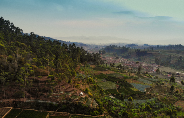 Ilustrasi Tempat Rekreasi di Lembang Bandung. Sumber: Unsplash/Afif Ramdhasuma