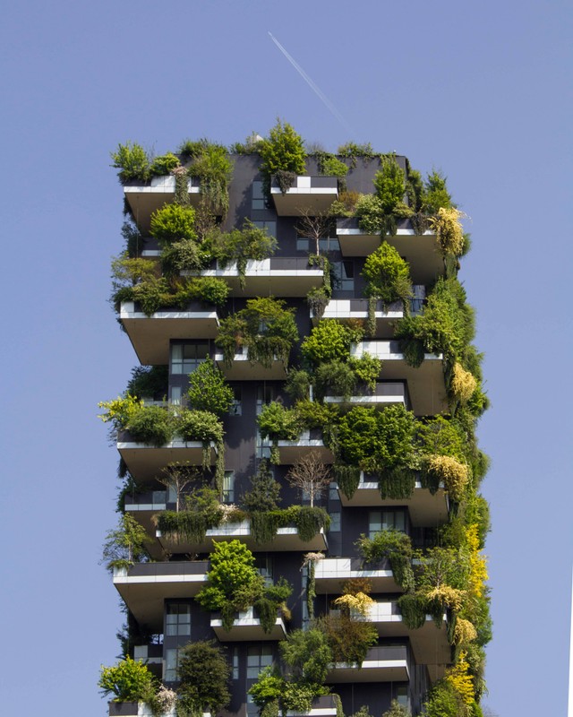 Ilustrasi Green Architecture. Sumber: https://unsplash.com/photos/building-covered-in-plants-0