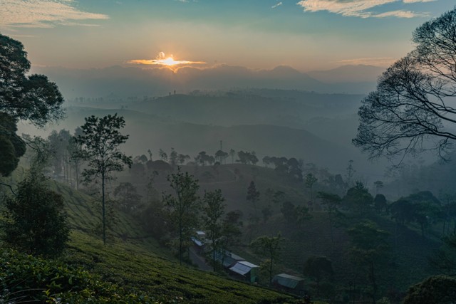 Taman Langit Pengalengan, foto hanya ilustrasi: Unsplash/Hanandito Adi