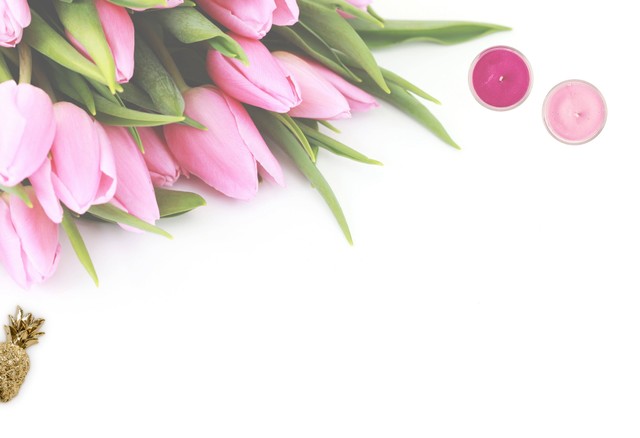 Ilustrasi Bunga tulip Berkembang Biak dengan Cara Apa? Pexels/Brand