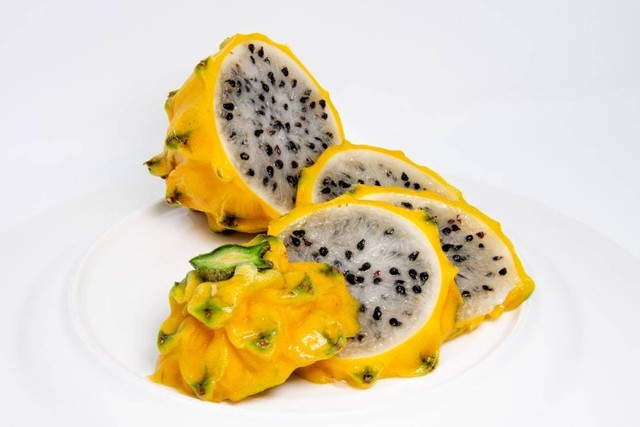 Ilustrasi cara budidaya buah naga kuning. Sumber: unsplash