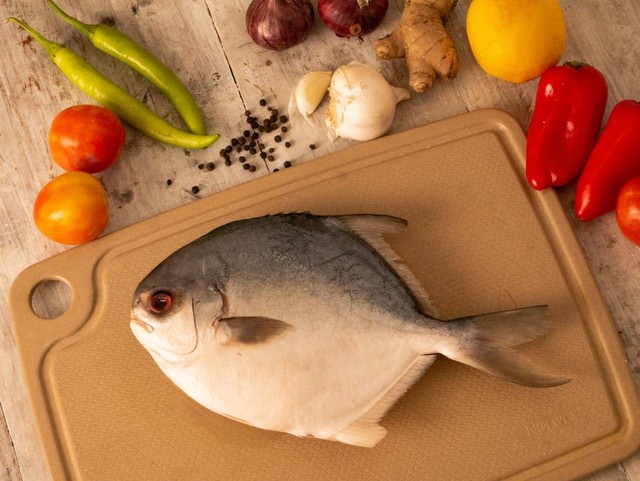 Ilustrasi jenis ikan konsumsi air payau. Sumber: Denize Manalo/pexels.com