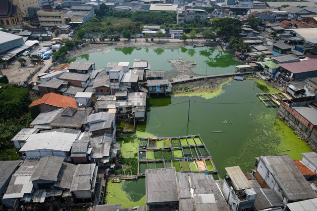 Kampung Apung - Penampakan Kampung Apung, Kapuk, Cengkareng, Jakarta Barat dari atas udara pada Kamis (2/11/2023). Foto: Iqbal Firdaus/kumparan