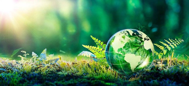 Source: https://shutterstock.com/image-photo/earth-day-environment-green-globe-forest-2285503199