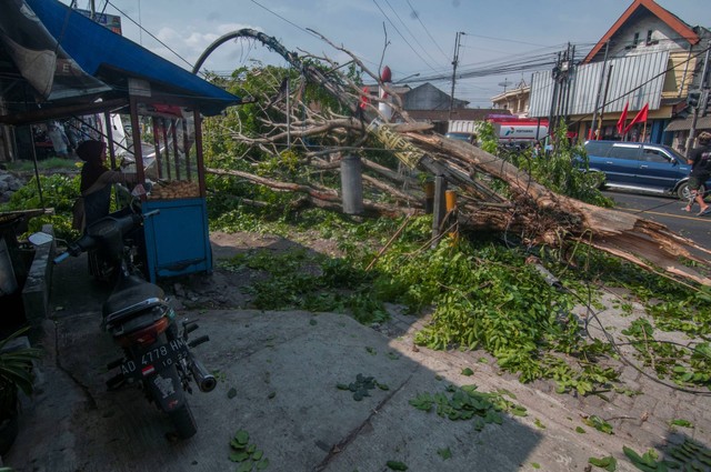 Seorang pedagang gorengan berada di dekat pohon yang tumbang di Jalan Solo-Semarang, Ampel, Boyolali, Jawa Tengah, Rabu (11/10/2023). Foto: Aloysius Jarot Nugroho/ANTARA FOTO