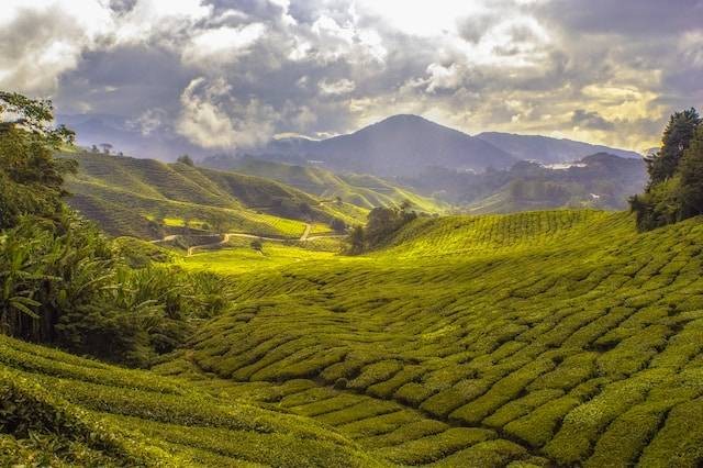 Ilustrasi Pemandian Air Panas Carita Alam Hot Spring & Resort. Sumber foto: Unsplash/Paul Vincent Roll