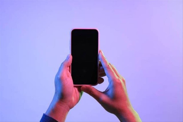 Ilustrasi 0213 nomor apa? Foto: Unsplash/kimberrywood.