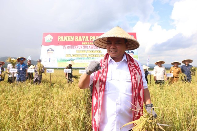 Pj Gubernur Sultra saat panen raya padi di Konawe Selatan. Foto: Istimewa
