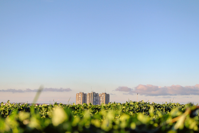 Tuliskan konsep-konsep terkait pembangunan berkelanjutan. Foto Hanya Ilustrasi. Sumber foto: Unsplash/Iva Rajović